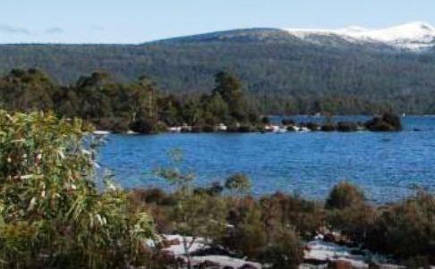 Derwent Bridge Chalets & Studios المظهر الخارجي الصورة